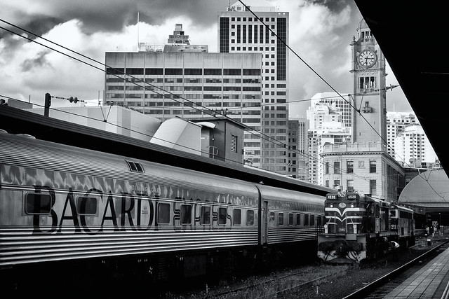 Bacardi Express at Sydney Terminal