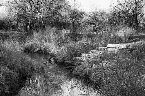 Stream and steps | by pollys belvin