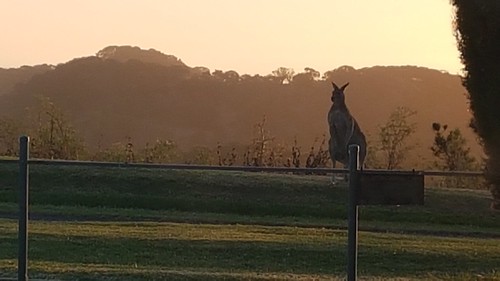 kangaroo tower koroit hill victoria australia sunset photographerljgervasoni