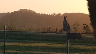 20171226_203830 kangaroo tower hill sunset 2017