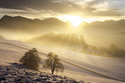 sonnenberg kriens morning sun fog trees snow winter switzerland youjusthavetogetupearly rays