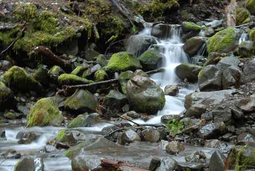 Sequim 0406 140 | by Davejoh