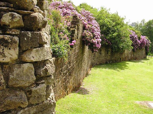 Old Wardour castle wall