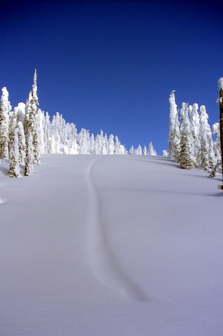 First Tracks | by Vicki_H