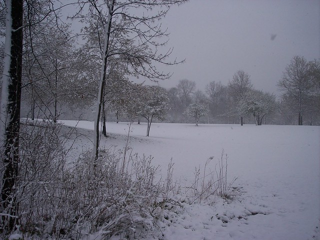 Snowstorm in Swan Creek Park, Toledo, Ohio