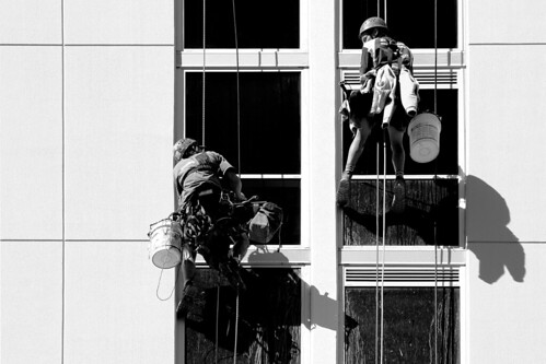 cleaning windows | by monkeyc.net