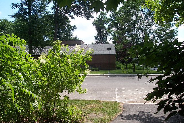 Library from Strawberry Acres Path, Holland, Ohio