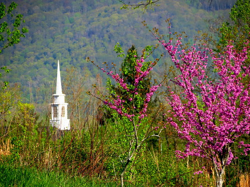Springtime In Kentucky | by ~Momma B~