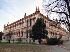 Milan - Natural History Museum
