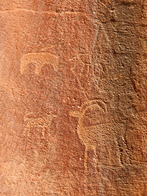 IMG_7616 Petroglyph, Capitol Reef National Park