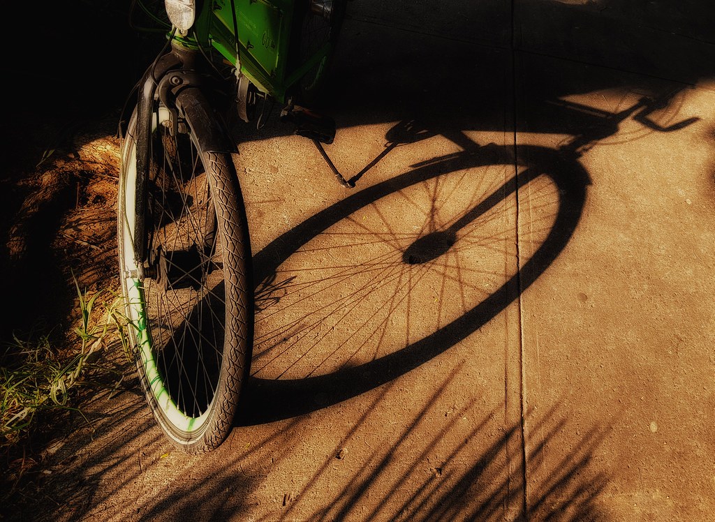 Araña de tela en embudo Normal Injusto Si mi abuelita tuviera ruedas, sería bicicleta. | Refrán pop… | Flickr
