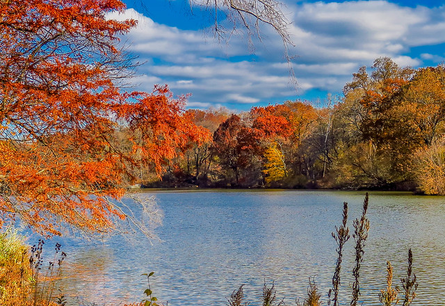 Beautiful Fall color around Central Park Lake