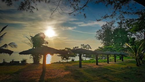 tree boulevard gazebo lawn park footpath sun sunlight treetop promenade grass thailand sunset sattahip