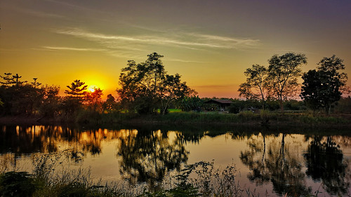 dawn dusk twilight sun tree placid lake sunbeam thailand sukhothai sunset