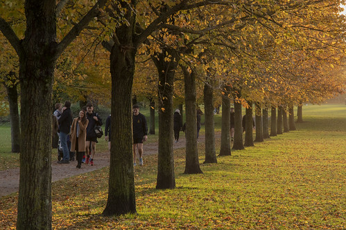 autumn light pontcannafields november 2018 weather sunshine trees park cardiff stock photos photographs pictures images viewof weekend sundayafternoonwalk people caeaupontcanna caerdydd jeremysegrott flickr photography forwebsite forwebpage forblog forpowerpoint forpresentation