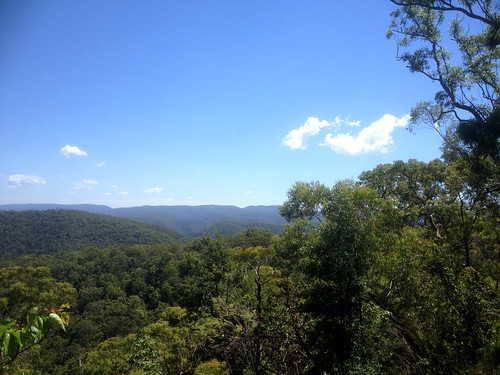 australia nsw bluemountains hawkesbury trees sky summer