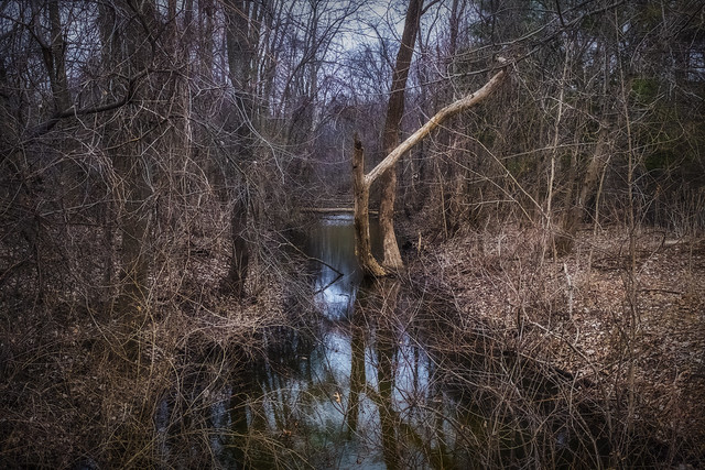 Creek. Windsor, ON.