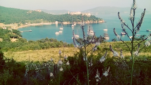 yacht bay boat marine shore harbour island heybeliada princesislands istanbul green nature mountain