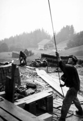 2012 Bergtanne Historisches
