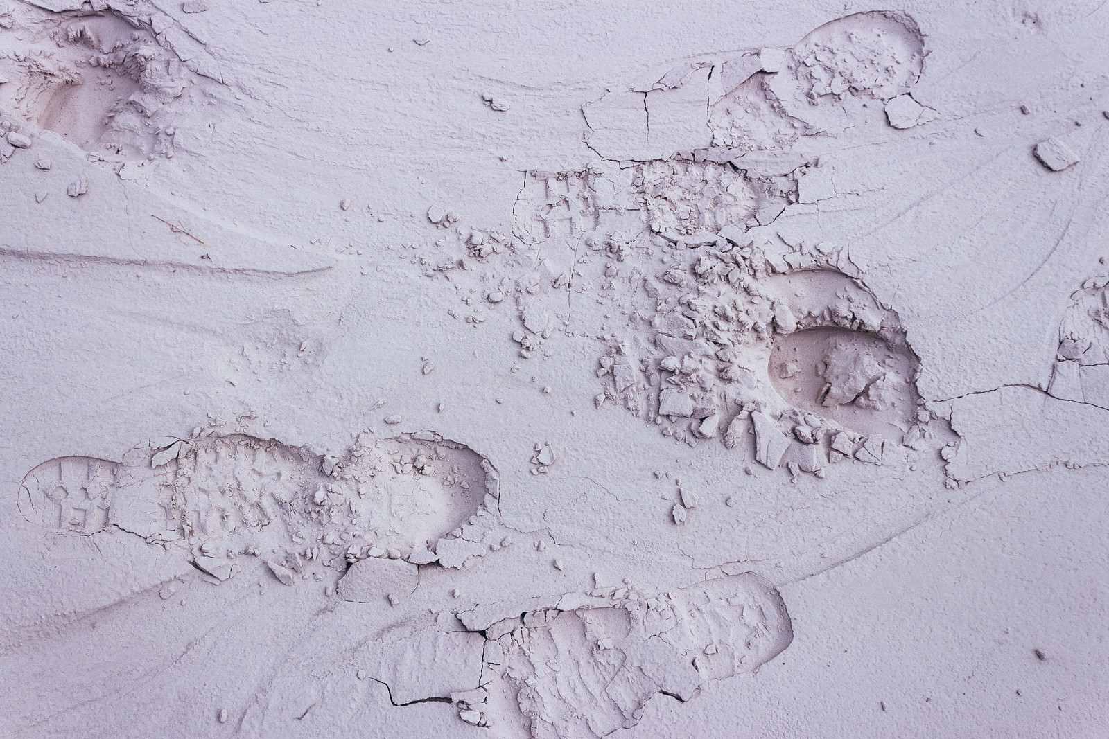 Footprints in the mud, Wahweap Creek, Utah