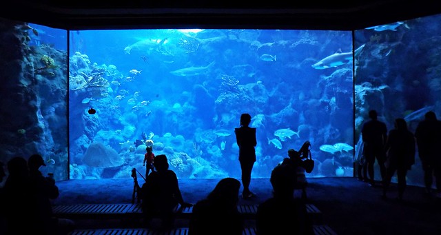 The Florida Aquarium in Tampa, Florida