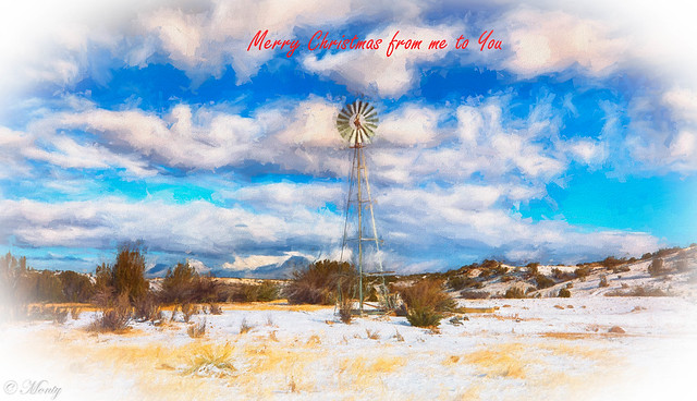 Merry Christmas from Arizona to all of my flickr friends :)