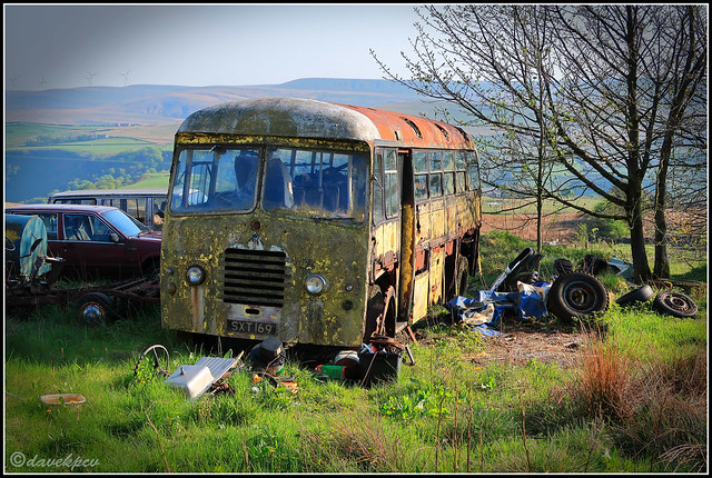 The abandoned bus