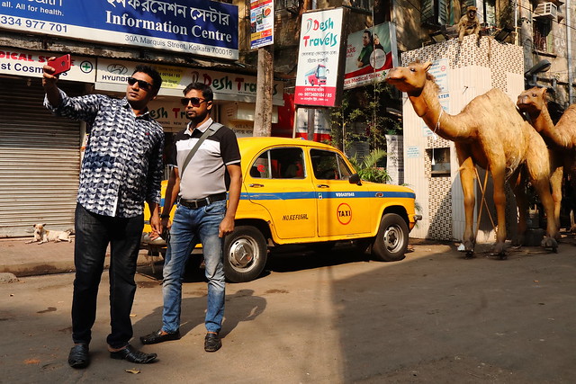 Camel, Kolkata