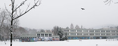 018Dec 15: Winter on Saturday Schoolyard