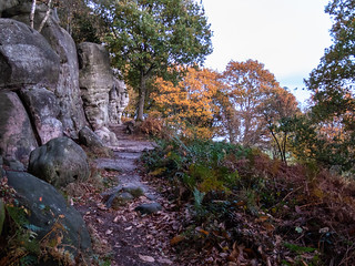 Autumn colours at Stone Farm Rocks, near Weirwood Reservoir