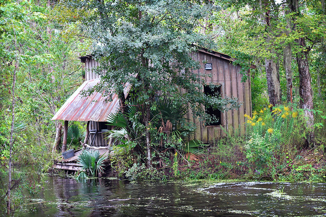swamp shack