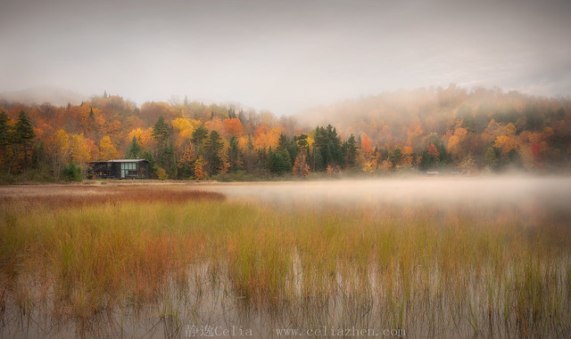 A Cabin Surrounded by Fall Foliage Leaves