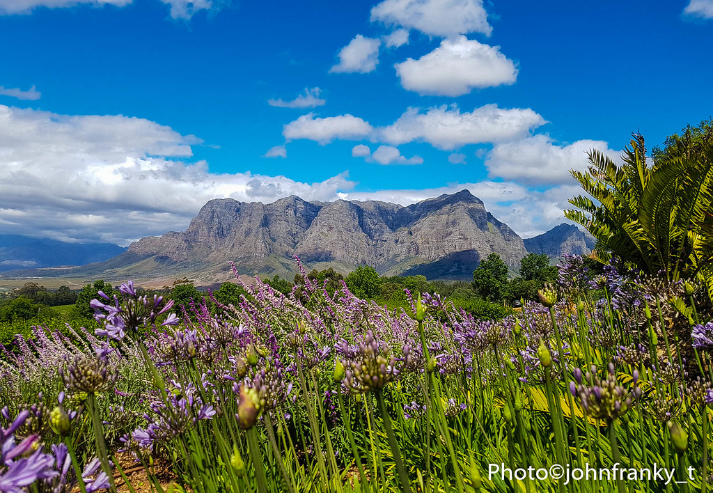 Stellenbosch-Cape Town-South Africa