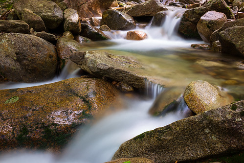 fallingwaters fallingwaterstrail whitemountain nationalforest franconiaridge franconianotch statepark newhampshire newengland stream trail hiking water mountain trees rocks waterfall forest landscape summer park canon 6d longexposure