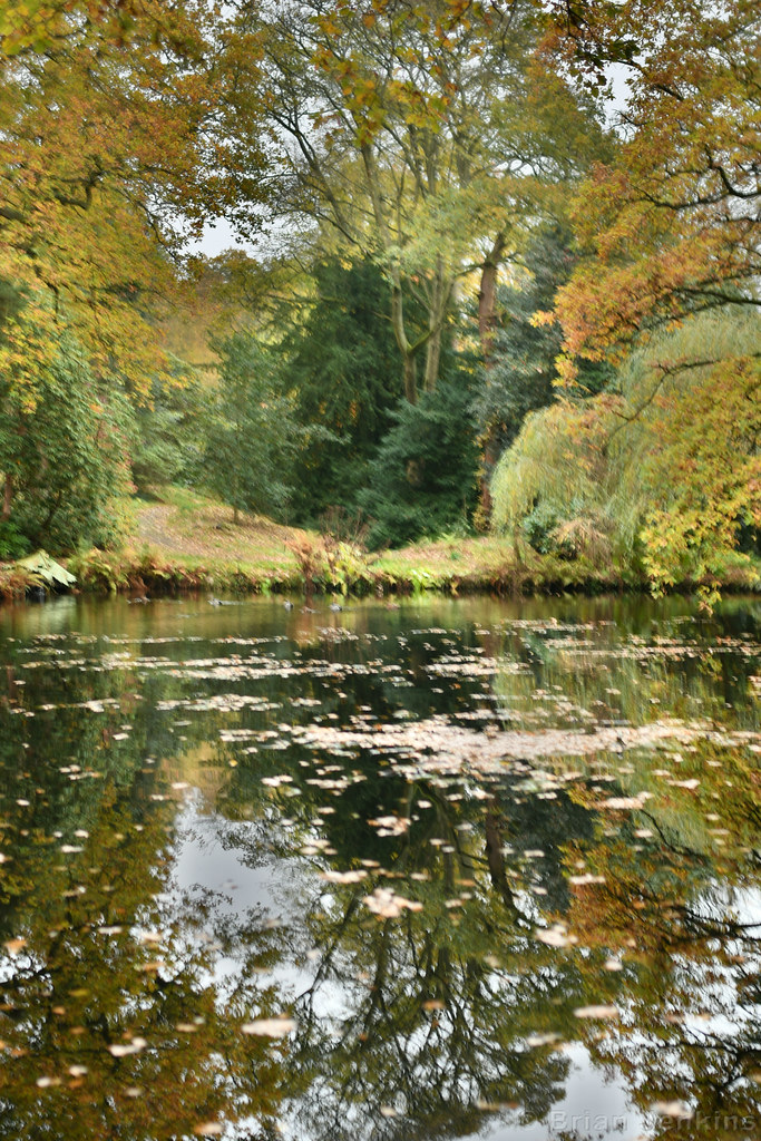 Morton's Pond | Chatsworth House Gardens, Bakewell, Derbyshi… | Flickr