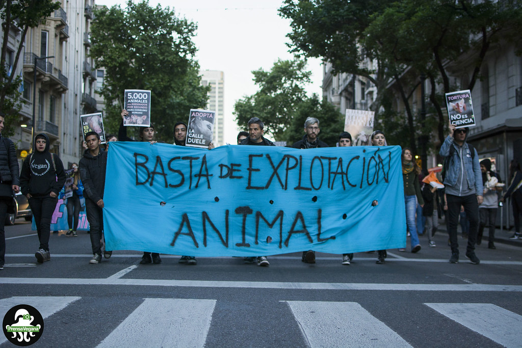 Semana de acción Antiespecista Latinoamérica.