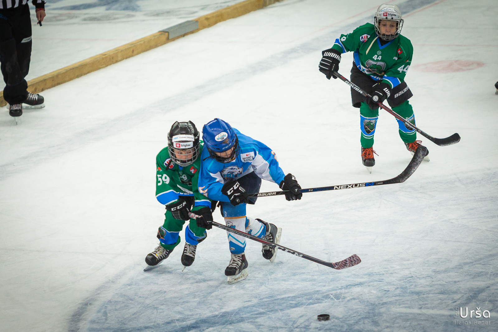 Turnir hokejskih šol na Jesenicah, 18.11.2018