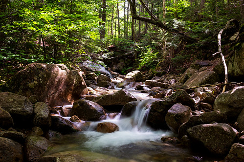 fallingwaters fallingwaterstrail whitemountain whitemountainnationalforest nationalforest franconiaridge franconianotch statepark newhampshire newengland stream trail hiking water mountain trees rocks waterfall forest landscape summer park canon 6d longexposure