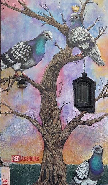 This image shows two/three birds perched on a tree.  There is a black cage hanging from one of the branches.  This is actually the window in the building, on which this mural is painted. (see uncropped version elsewhere on this gallery)