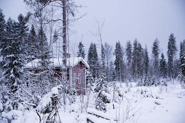 Red cabin in the woods.