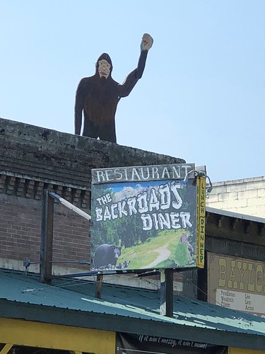 backroadsdiner diner restaurant kooskia idaho advertising sign