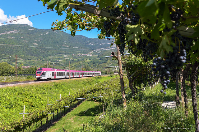 Trentino Trasporti ETR 170.110