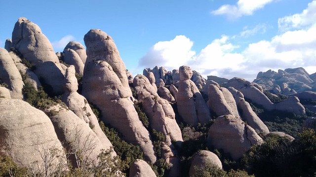 IMG-20190127-WA0063