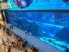 Photo 25 of 25 in the Day 5 - Burj Khalifa, Dubai Mall, VR Park Dubai and Dubai Aquarium gallery