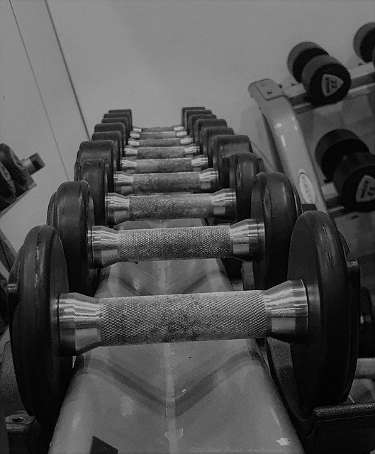 A train of weights for the training