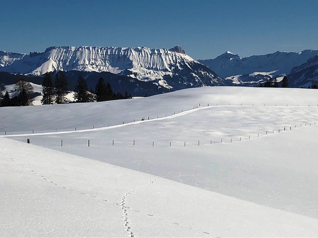 Winter 2019 (Schrattenfluh aus Sicht Hinternaters Röthenbach)