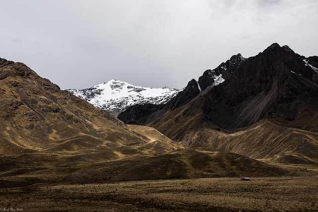 Peruvian Altiplano