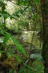 Sa Nang Manora Forest Park