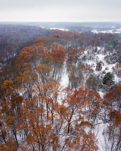 dji djimavicpro eliasonnaturereserve kalamazoocounty michigan portage us unitedstates aerialphotography drone fall flying fog landscape nature outdoor overcast park snow weather winter
