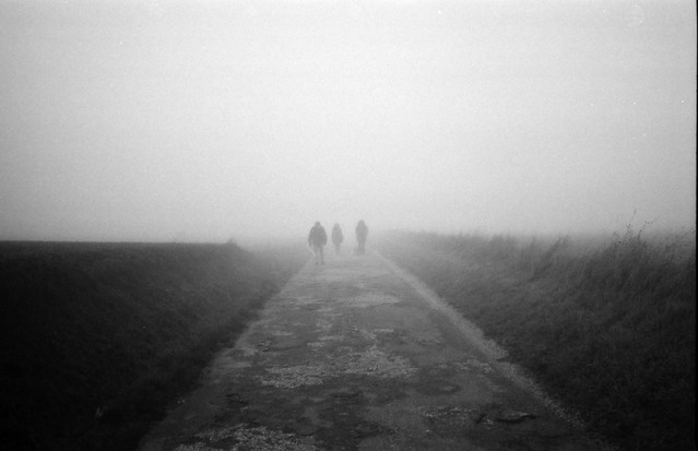Foggy walk